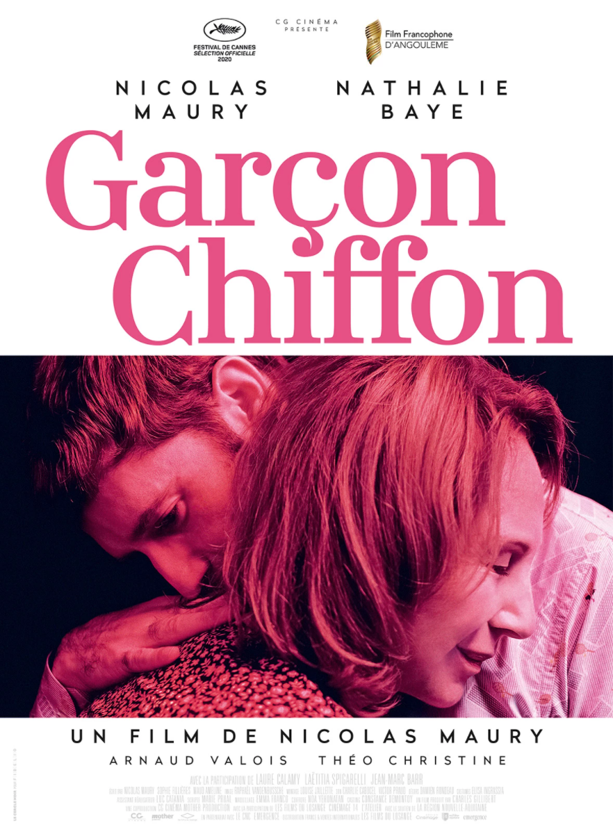 Garçon chiffon de Nicolas Maury