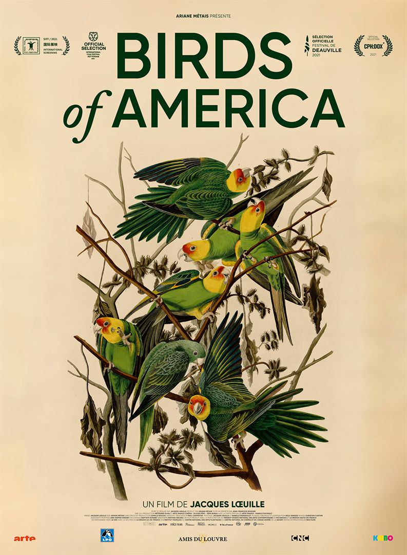 Birds of America de Jacques Loeuille