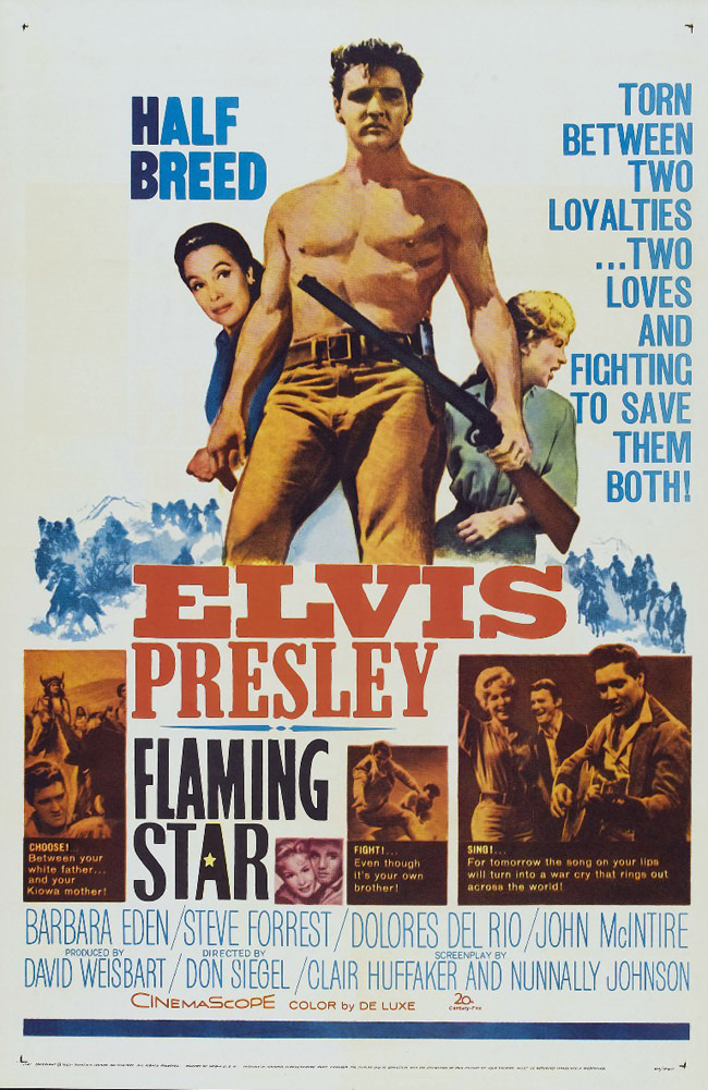 Les Rôdeurs de la plaine de Don Siegel