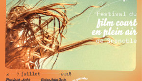 41ème Festival de Plein Air de Grenoble en partenariat avec l'Avant-Scène Cinéma