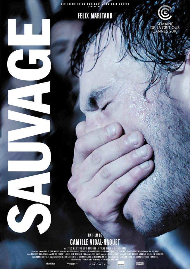 Sauvage de Camille Vidal Naquet
