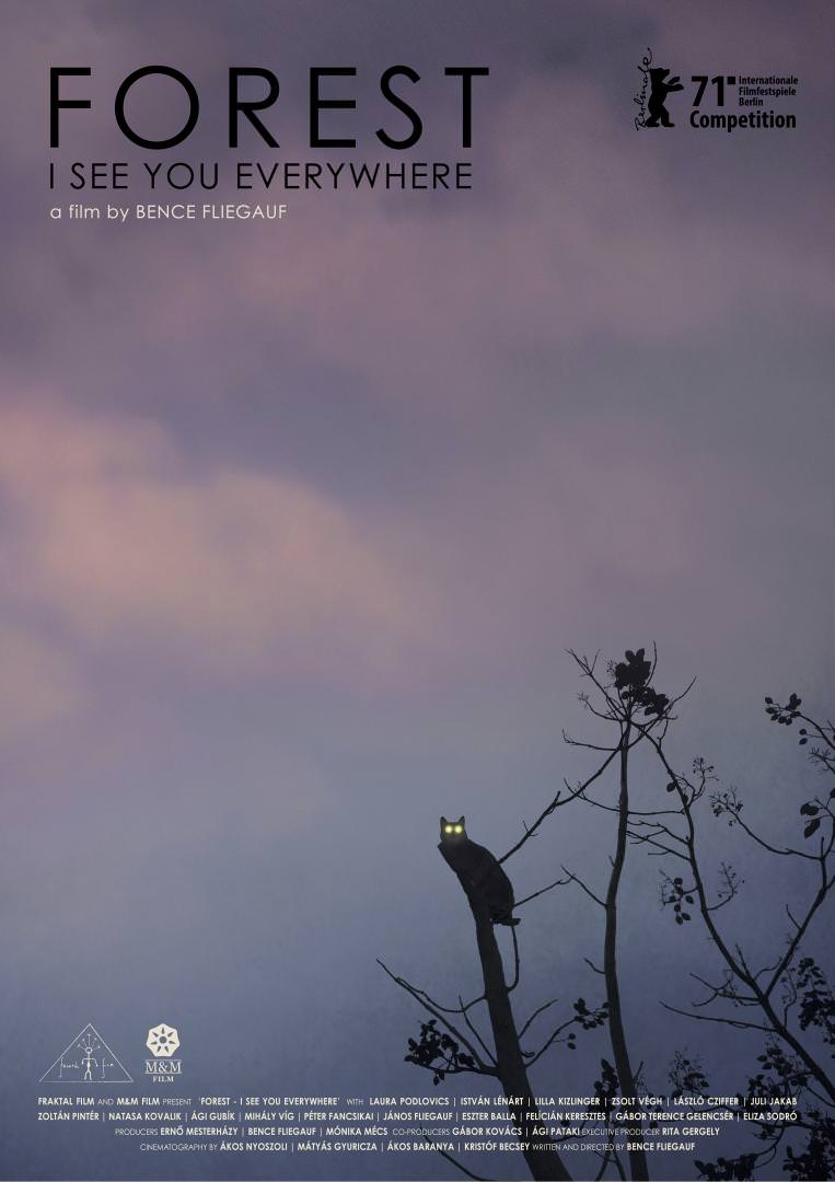 Forest - I see you everywhere de Bence Fliegauf